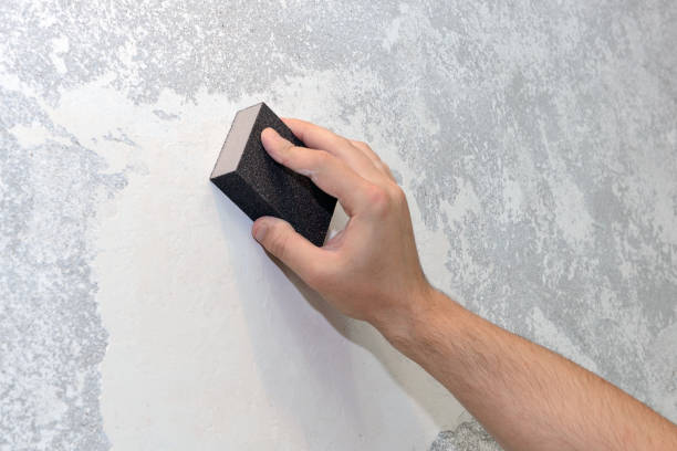 Best Attic Mold Removal  in Mattoon, IL