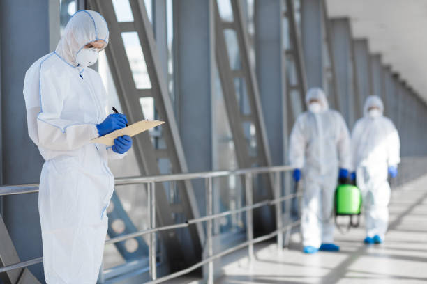 Best Mold-Related Health Consultation  in Mattoon, IL