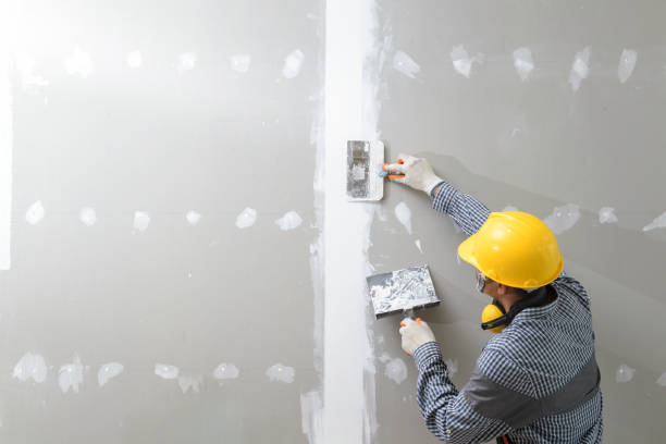 Best Post-Remediation Verification Testing  in Mattoon, IL