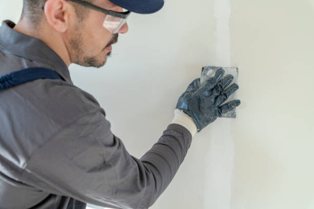 Best Asbestos and Lead Testing During Mold Inspection  in Mattoon, IL