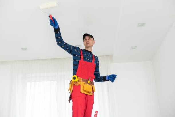 Best Air Quality Testing for Mold Spores  in Mattoon, IL