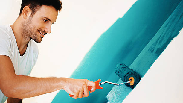 Best Mold Damage Restoration  in Mattoon, IL