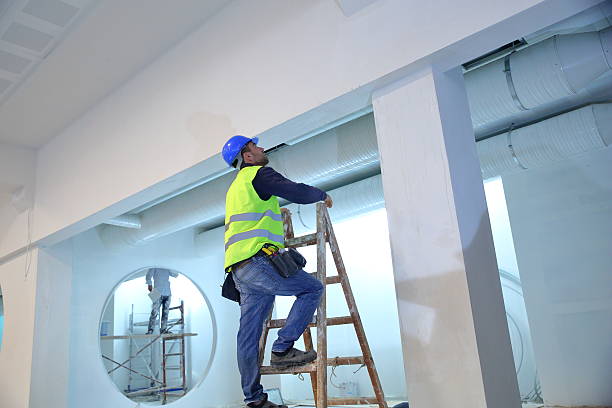 Best Mold Removal for HVAC Installations  in Mattoon, IL